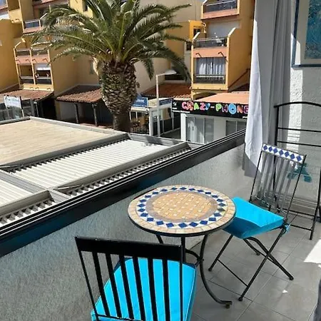 Appartement L'albatros